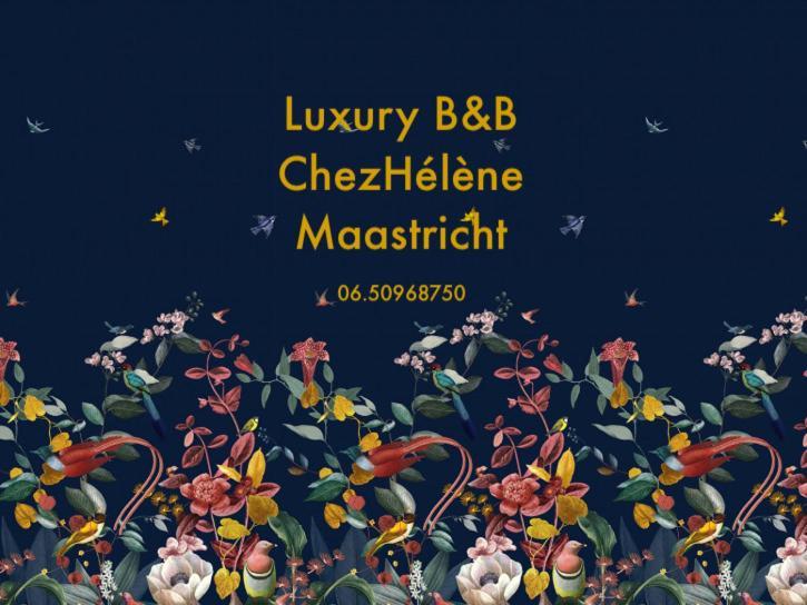 Chez Helene Luxury Bnb Maastricht Eksteriør billede